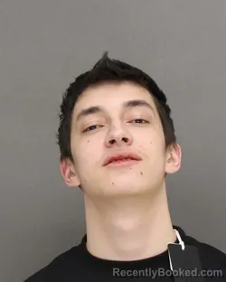 Mugshot of AIDYN KASEY THOMAS DYER