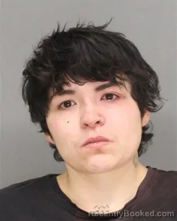 Booking photo from Brown County, Wisconsin