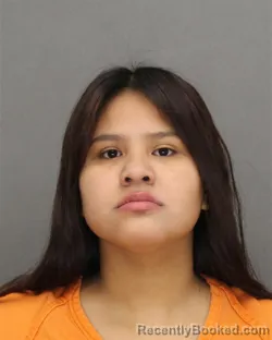 Mugshot of SARAH MAE SOULIER