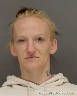 Mugshot of AMANDA MARIE HERNANDEZ