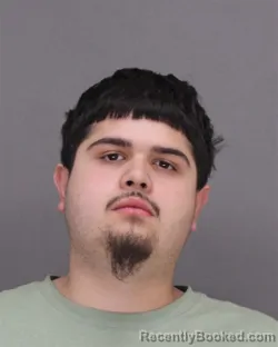 Booking photo from Brown County, Wisconsin