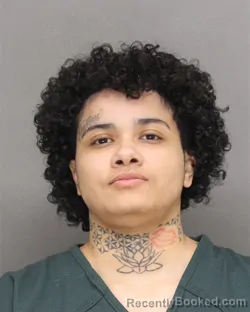 Mugshot of DAESHAWANA HERNANDEZ JAVIER