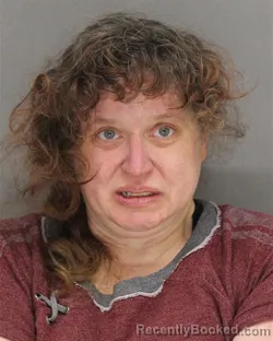 Mugshot of JOY BETH BEAN