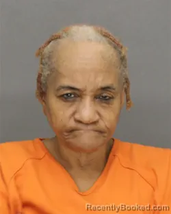 Mugshot of BOBBIE JEAN LOVE