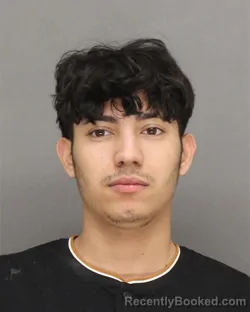 Mugshot of DANIS JOSUE ROCHA-RAMIREZ