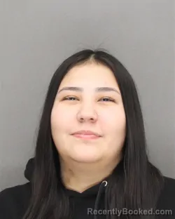 Mugshot of LAILA ROXANNE OLSON