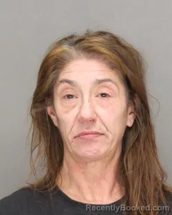 Mugshot of AMBER LYNNE VANNES