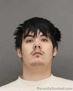 Booking photo from Brown County, Wisconsin