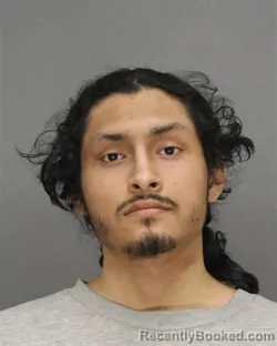 Mugshot of LUIS ENRIQUE PADILLA-ORTIZ