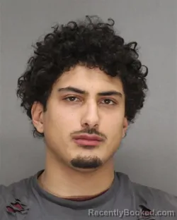 Mugshot of JARRED DANIEL LEWIS