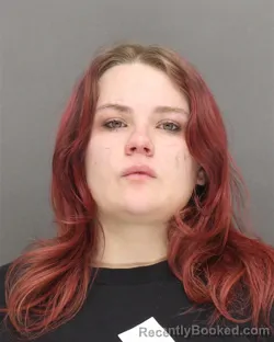 Mugshot of AVERY LYNN BIES