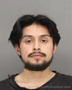 Mugshot of EMANUEL NMI LEON-RAMIREZ