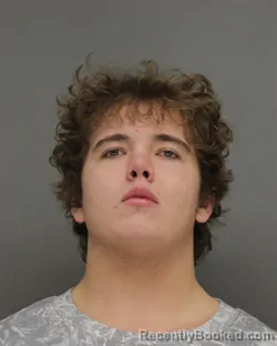 Mugshot of MICAH BRAYDEN FLANNIGON