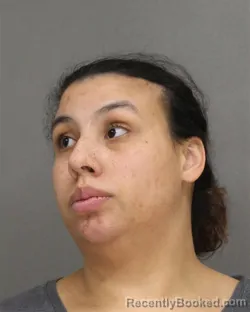 Mugshot of SHAMEKA VAY OLSON