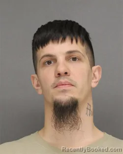 Mugshot of MICHAEL ARTHUR ANDERSON