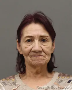 Mugshot of SHARON JEAN SKENANDORE