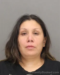 Mugshot of DESIREE WHITEOWL STEVENS