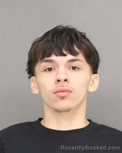 Mugshot of JAVIER NMI GONZALEZ