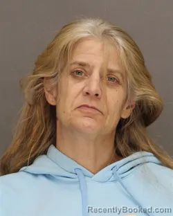 Mugshot of HEIDI ANN CAVIL