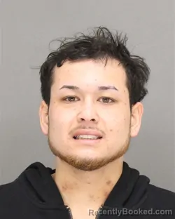 Mugshot of TAYTHIN THAILIN INRASAVONGSA