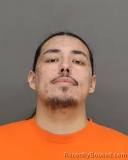 Mugshot of SHAWN CARL LITTLE WHEELOCK