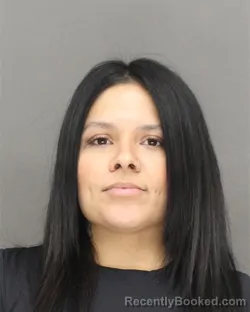 Mugshot of MICHELLE NMI RAIGOZA