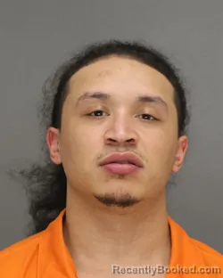 Mugshot of PETER PAUL PENASS