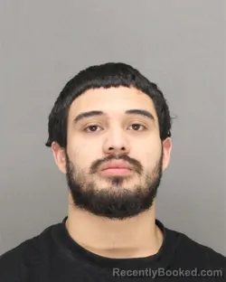 Mugshot of ALEXANDER NMI ALVAREZ-ALVAREZ