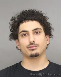 Mugshot of JARRED DANIEL LEWIS