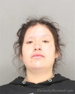 Mugshot of SHYE ANN OSHKESHEQUOAM