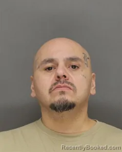 Mugshot of RAY LANCE LONG