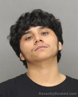 Mugshot of NATHANIEL LEE DELOSSANTOS