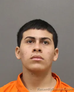 Mugshot of JARQUIN NMI WILBER-ANTONIO