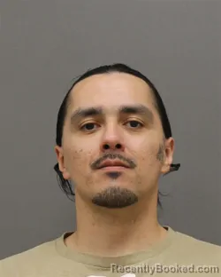 Mugshot of BRIAN DAVID MARTIN