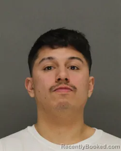 Mugshot of QUINNTON KONNOR SKENADORE