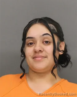 Mugshot of MIA MAUREEN MAES