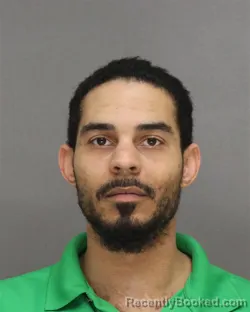 Mugshot of ALEXI TYLER AGRAMONTE