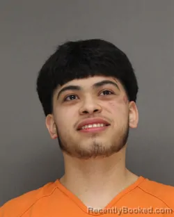 Mugshot of DANIEL VIDAL BAEZ