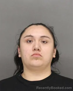 Mugshot of SELEENA MARIE ISHERWOOD