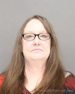 Mugshot of AMY SUE BOROWITZ