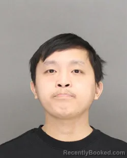 Mugshot of TYSON NMI LEE