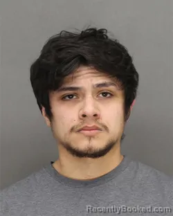 Mugshot of ROBERT NMI RIVERA