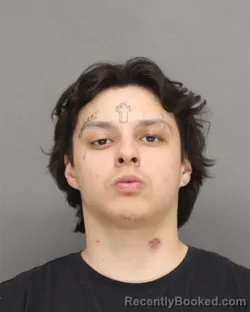 Mugshot of BREYEN ALLEN BASINA