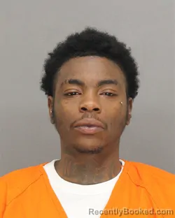 Mugshot of ALBRINIA SAMANTHA HAMPTON