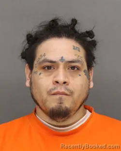 Mugshot of ADAN MOTA ALANIZ