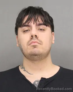 Mugshot of LEO RICHARD DARNELL