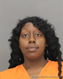 Mugshot of SAVANNA RAYVEAN TURNER