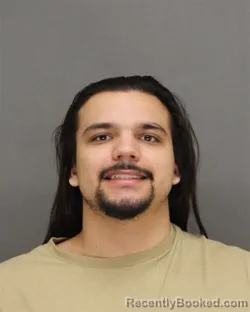 Mugshot of ALEXANDER WILLIAM VANSTEEL