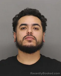 Mugshot of LUIS ANTONIO PEREZ-MALDONADO