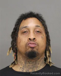 Mugshot of MARTIN LOUIS ELLIS